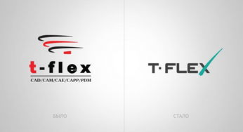 t flex 俄罗斯软件产品开发公司