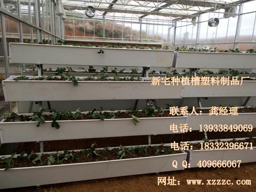 河北新宅鸡槽塑料制品厂软件开发 打造智能化生产与海量图片管理系统